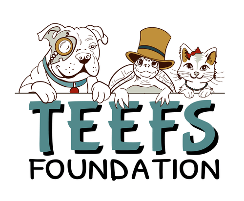 TEEFS Logo